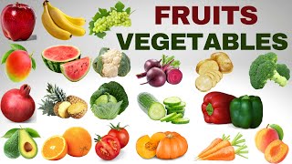 Fruits amp Vegetables Vocabulary  Learn Fruits and Vegetables Names  English educational video [upl. by Corneille627]