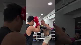 Boxer goes toetotoe with UFC champ Alex Pereira during a South Korea gym session 😳 Boxing MMA [upl. by Sirred]