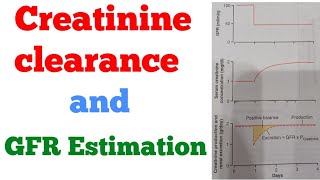 Creatinine clearance and GFR Estimation Renal system [upl. by Zeena]