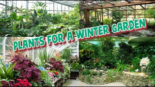 Plants for a Winter Garden [upl. by Eillat]