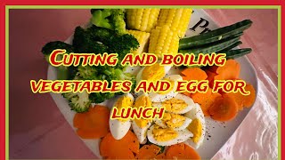 CUTTING AND BOILING VEGETABLES AND EGG FOR LUNCH cutting boiling food viralvideo trending asmr [upl. by Tayyebeb]