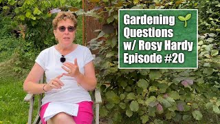 Struggling With Hydrangea Cuttings Getting Rid Of Bindweed  Gardening Questions w Rosy Hardy [upl. by Tatianna]