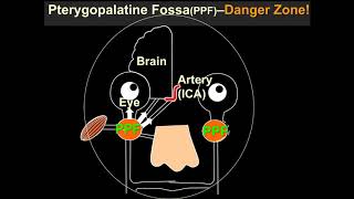 International Cancer Imaging Society course Oct 17 MRI in Nasopharyngeal carcinoma A King [upl. by Terri27]