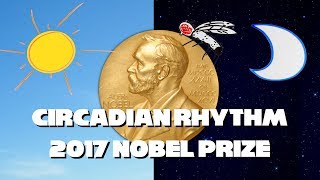 2017 Nobel Prize for Circadian Rhythm Explained [upl. by Nivlek]