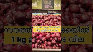 Price of the Onion in South Africa Johannesburg [upl. by Cly]