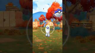 Catching Absol pokemon shorts [upl. by Gussy]