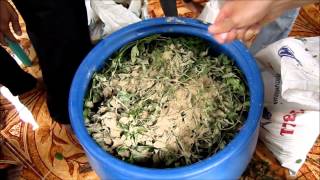 Video showing the preparation for animal feed fermentation [upl. by Iyre467]