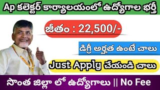 AP గవర్నమెంట్ జాబ్ నోటిఫికేషన్ 2024 AP Collector Office Notification 2024 Ap Dist Wise Jobs 2024 [upl. by Krishna]