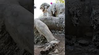 Discovering the Hidden Giant of Tuscany The Apennine Colossus forgottenworldsshorts [upl. by Arvo]