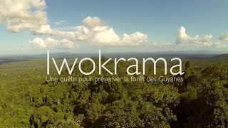 Iwokrama une quète pour préserver la forêt des Guyanes VOST français [upl. by Stoffel]