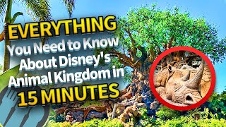 Everything You Need to Know About Disneys Animal Kingdom in 15 Minutes [upl. by Ajiram]