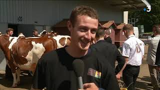 Besançon  concours de la race montbéliarde à la Foire Comtoise [upl. by Welcher]