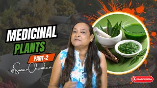 Medicinal Plants Part 2 More Natural Remedies for Your Health [upl. by Eixid]