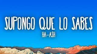 HAASH  Supongo Que Lo Sabes [upl. by Warms]