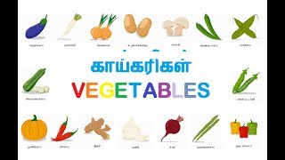 காய்கரிகள்  Vegetables  Tamil Aruvi தமிழ் அருவி [upl. by Aoket]