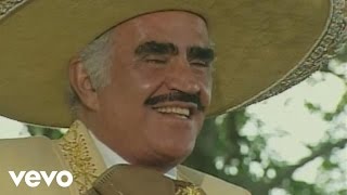 Vicente Fernández  Un Millón de Primaveras Letra  Lyrics [upl. by Marceau600]