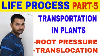 LIFE PROCESS TRANSPORTATION IN PLANTS PART 5 [upl. by Gemperle]