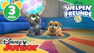 Welpen Freunde  Clip Mission Hawaii  Disney Junior 🐶 [upl. by Tonl]