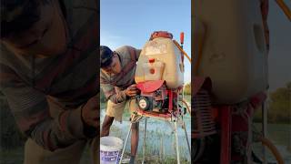 Spray Machine for farmingMen spray rice after flood chanthan farmerfarmerlifefarming [upl. by Surbeck]