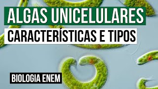 ALGAS UNICELULARES características e tipos  Biologia para o Enem  Cláudia de Souza Aguiar [upl. by Pauiie582]