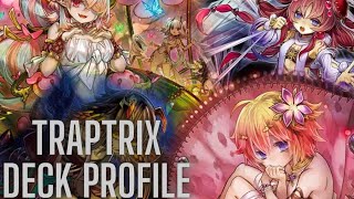 Traptrix Deck Profile April 2024 [upl. by Emmy]