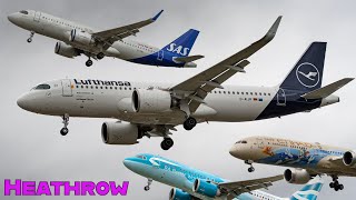 Heathrow Airport Plane Spotting  Runway 27L Arrivals  Myrtle Avenue [upl. by Ellehcar]