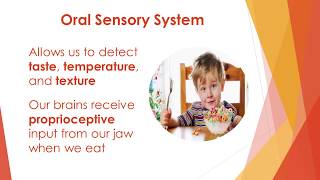 Sensory Processing Olfactory amp Oral Systems [upl. by Whang]