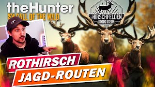 Hirschfelden Missionen beim Neustart als Anfänger theHunter Call of the Wild [upl. by Enej680]