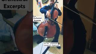 Cello Orchestral Excerpts cello music viralvideo [upl. by Sowell966]