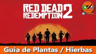 Red Dead Redemption 2 Localización de las 43 Plantas  Hierbas  Desafío Herbolario 9 [upl. by Vipul]