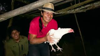 HICE UN NUEVO GALLINERO PARA QUE DUERMAN MIS GALLINAS [upl. by Nitz]