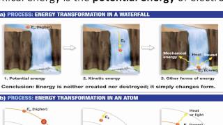 Basic Concepts in Energetics [upl. by Dyun]