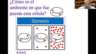 Membrana celular Parte 2 de 3 [upl. by Laurentium955]