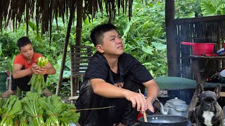 The Orphan Boy  Picking vegetables to sell and living alone and poor in a dilapidated shack [upl. by Fredia]