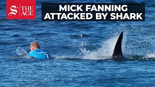 Surfer Mick Fanning attacked by shark [upl. by Ancel]