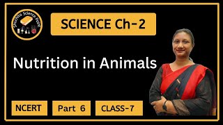 Class 7  Science  Chapter 2  Nutrition in Animals  NCERT  Part 6 [upl. by Harris]