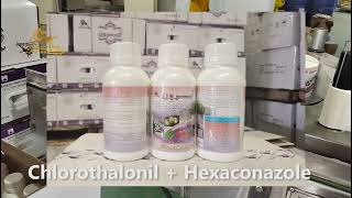 Chlorothalonil 250 GL  Hexaconazole 50 GL SC，Chlorothalonil  Hexaconazole，Mixture Fungicide [upl. by Garrott5]