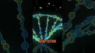 The Role of Genetics in Understanding Human Evolution [upl. by Anastatius]