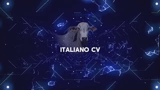 Reprodução Programada Genômica 2024 – ITALIANO DE CV [upl. by Joung]