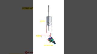 RS755 12V DC Motor with Speed Controller ideas [upl. by Elmajian]