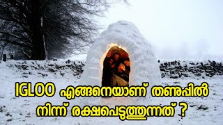 How igloo keep us from cold climate explained in malayalam  Eskimos  polar bear  Snow  Ice [upl. by Ilojna]