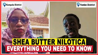 Discover the Benefits of Shea Butter Nilotica  What You Need to Know Now 2023 [upl. by Winfield]