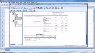 Estimating InterRater Reliability with Cohens Kappa in SPSS [upl. by Yatnuahc]