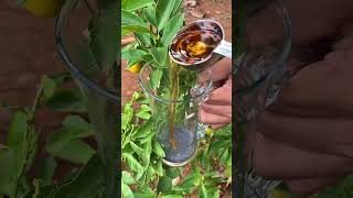 മുന്തിരിയും പാലും🍇 Grape milk recipe malayalam [upl. by Balch957]