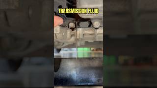 CHECKING TRANSMISSION FLUID ON A KIA RIO IS RIDICULOUS [upl. by Fonville]