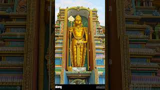 அரோகரா🔱அரோகரா🔱 அரோகரா🔱thiruchendur murugan thirupugal திருப்புகழ் [upl. by Ellatnahc]