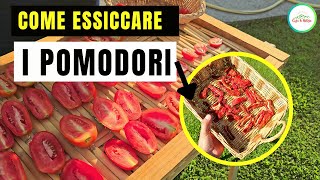 Come Essiccare I POMODORI  2 METODI [upl. by Aehtrod426]