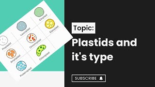 Plastids l types of plastids l Chloroplast l cell structure and function l XI biology [upl. by Theona994]