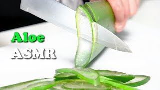 Aloe Vera Cutting l ASMR [upl. by Dickman323]