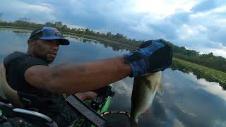 Froggin For Big Bass In Pads [upl. by Cormier]